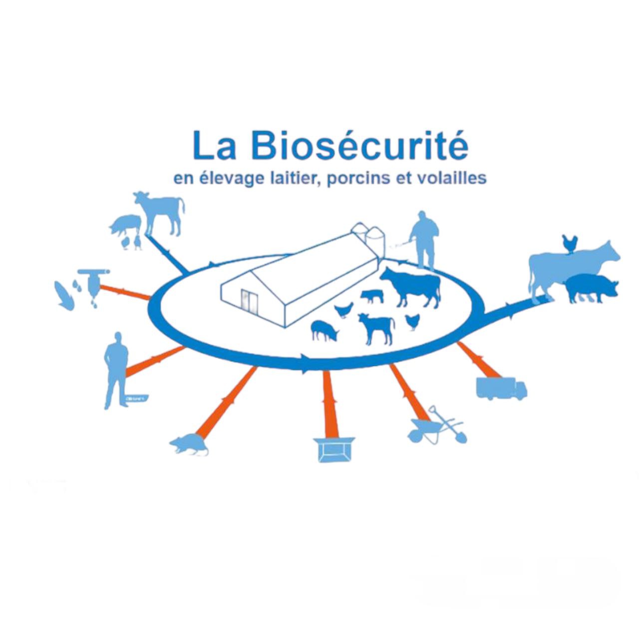 biosecurite_maridav_cote_d_ivoire