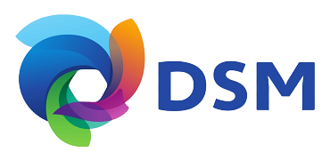 dsm-logo